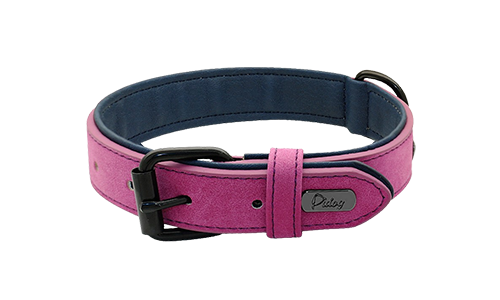 Collar rosa de terciopelo de lujo, 35-37cm de largo y 1.7cm de ancho, con hebilla negra y anilla en D para sujeción.