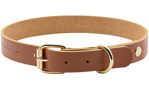 Collar de cuero marrón de alta calidad para perros, 43-53cm x 3.2cm, con hebilla dorada y anilla resistente.