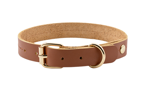 Collar Perro de Cuero Auténtico de Alta Calidad Collar de cuero marrón de alta calidad para perros, 27-34cm x 2.2cm, con hebilla dorada y anilla resistente.