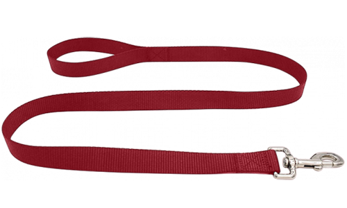 Correa roja de nylon para perros, 120cm, resistente, fácil de limpiar y segura con cierre plateado.