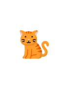 Accesorios para gato - Placasperros.es
